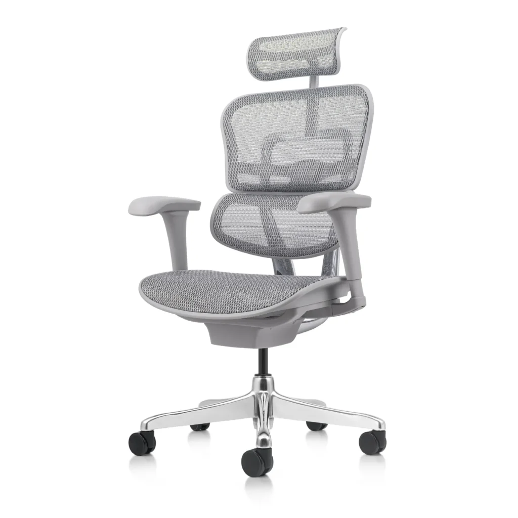 Ergohuman Fit Gris