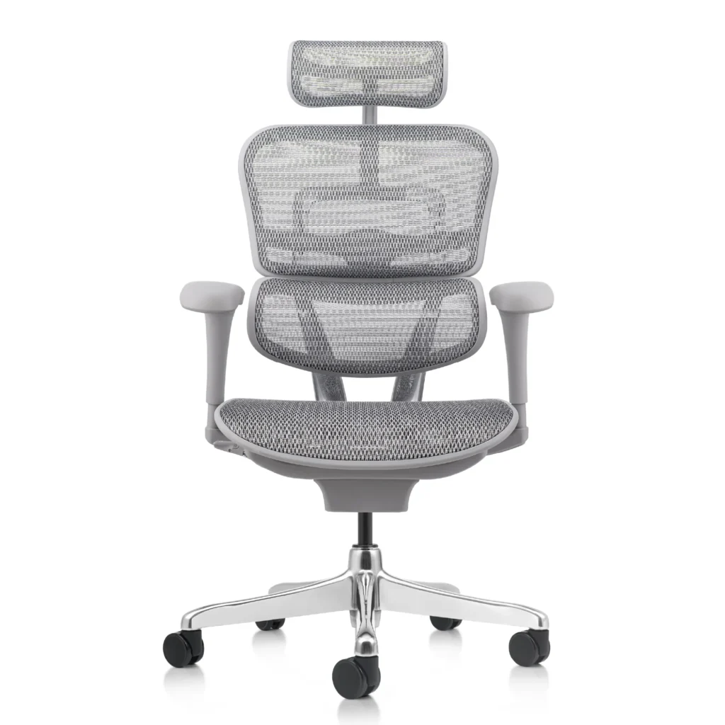 Ergohuman Fit Gris
